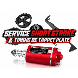 SERVICE SHORT STROKE & TIMING DE TAPPET PLATE